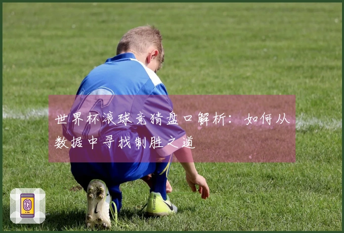 世界杯滚球竞猜盘口解析：如何从数据中寻找制胜之道