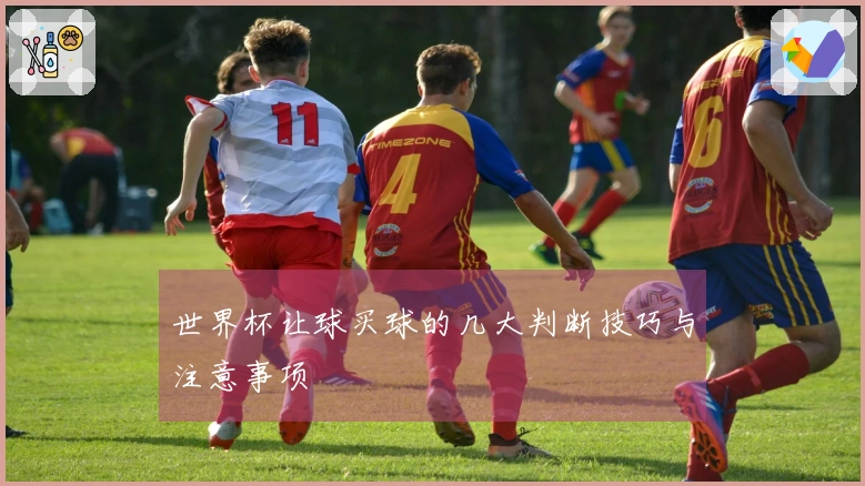 世界杯让球买球的几大判断技巧与注意事项