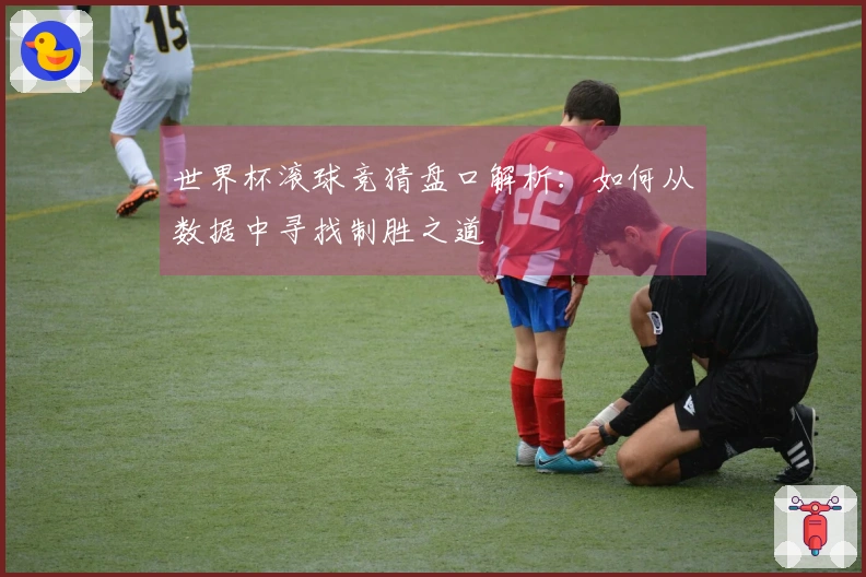 世界杯滚球竞猜盘口解析：如何从数据中寻找制胜之道