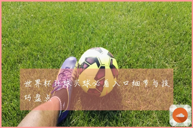 世界杯让球买球必看入口细节与技巧盘点