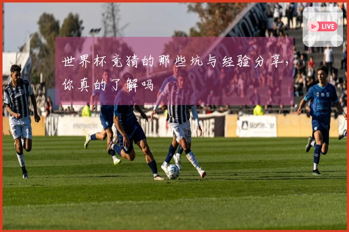 世界杯竞猜的那些坑与经验分享，你真的了解吗