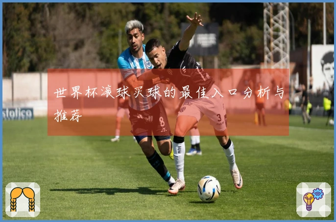 世界杯滚球买球的最佳入口分析与推荐