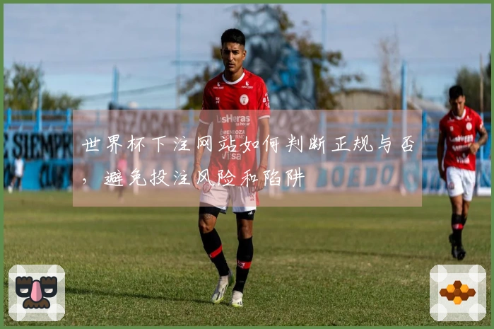 世界杯下注网站如何判断正规与否，避免投注风险和陷阱