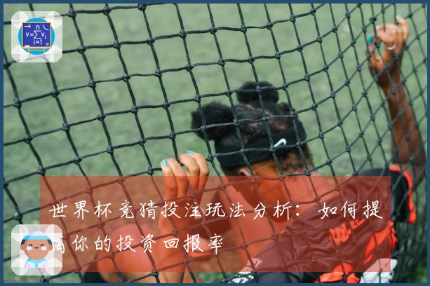 世界杯竞猜投注玩法分析：如何提高你的投资回报率