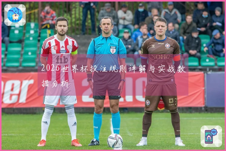 2026世界杯投注规则详解与实战数据分析