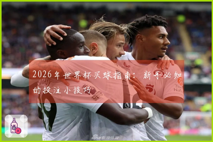 2026年世界杯买球指南：新手必知的投注小技巧