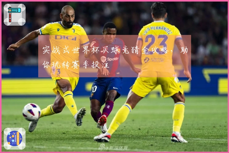 实战式世界杯买球竞猜全攻略，助你玩转赛季投注