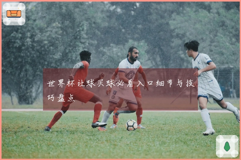 世界杯让球买球必看入口细节与技巧盘点