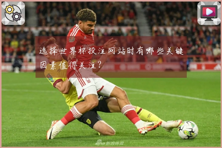 选择世界杯投注网站时有哪些关键因素值得关注？